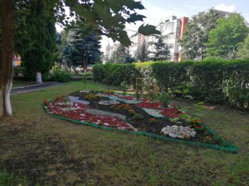 Elevii de la ”Nicu Gane” Fălticeni au amenajat curtea școlii cu flori și cu arbuști ornamentali