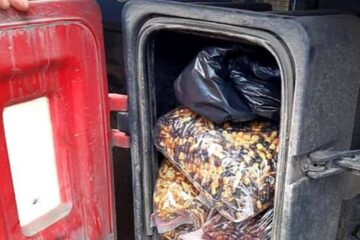60 de kg de chihlimbar, într-un tir care urma să ajungă în Vama Siret