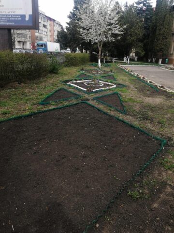 Elevii de la ”Nicu Gane” Fălticeni au amenajat curtea școlii cu flori și cu arbuști ornamentali