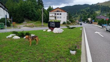 Blocul dezafectat pe care au crescut copaci