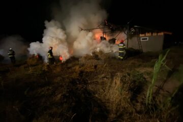 Depozit de furaje și 50 de tone de fân, făcute scrum într-un incendiu