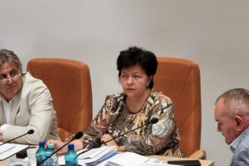 Irina Vasilciuc, administrator public al judetului Suceava