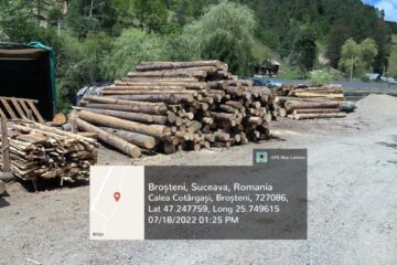 Gater amendat și cu activitatea suspendată