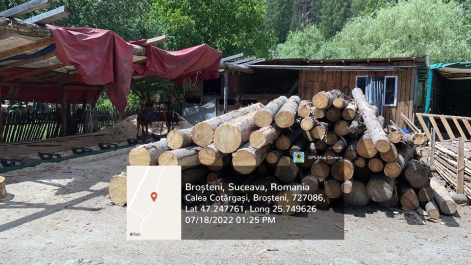 Gater amendat și cu activitatea suspendată