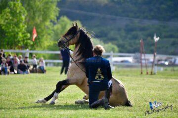 Spectacolul Povestea Calului în Bucovina