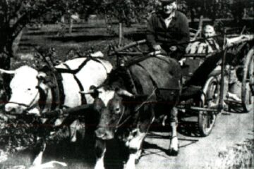„Răzeșii”