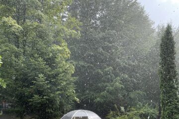 În parcul central din Vatra Dornei a fost montat un igloo de lectură, pentru iubitorii de carte