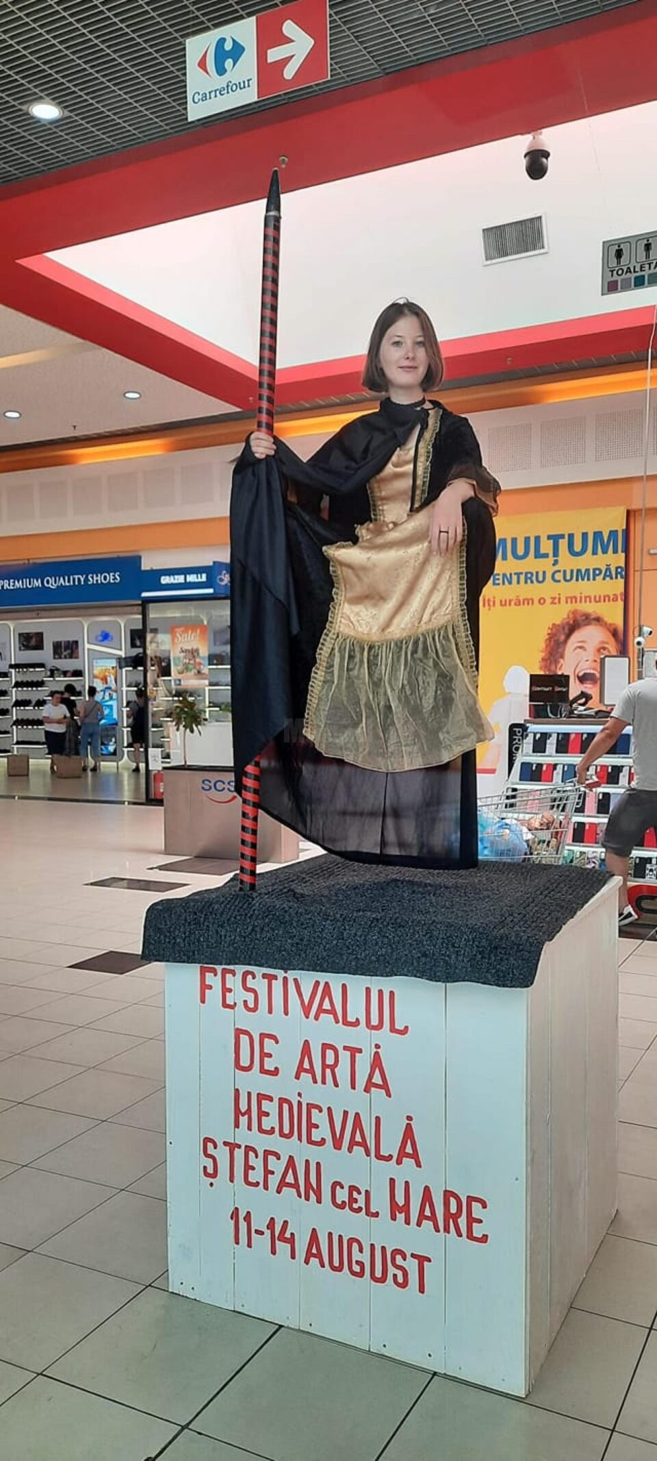 Statui vii la mall