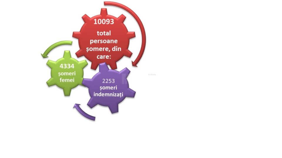 Date din primul semestru al acestui an