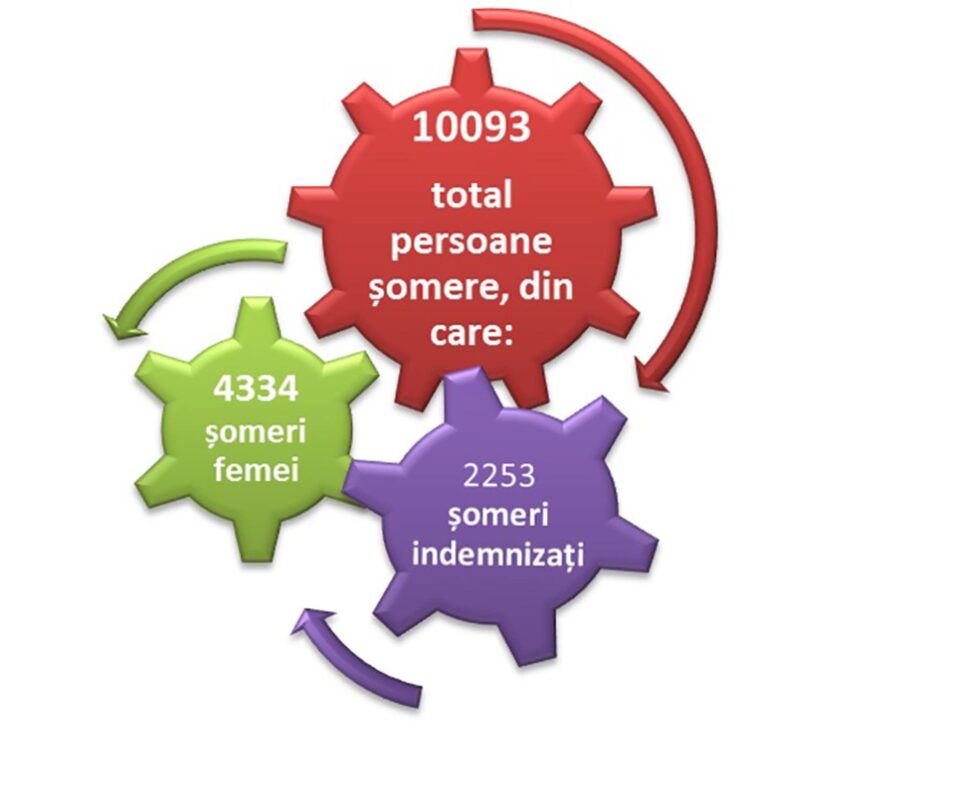 Ușoară scădere a numărului de șomeri, odată cu ridicarea restricțiilor și reluarea activităților economice