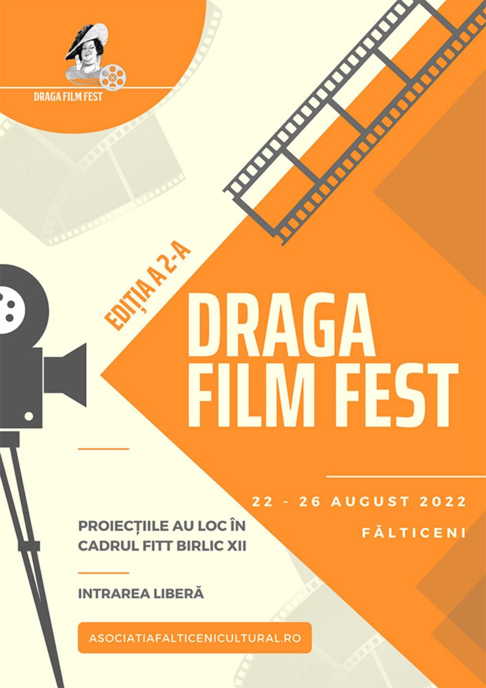 Festivalulul Internațional de Teatru Pentru Tineret „Gr.V. Birlic”, ediție anterioară