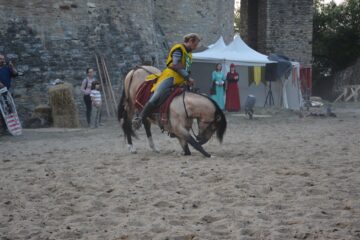 Spectacol cu cai