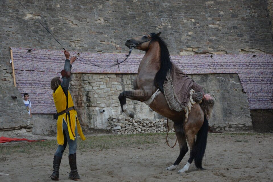 Spectacol cu cai