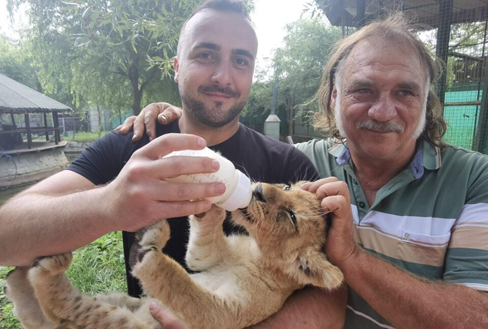 Dorin Șoimaru și prietenul său Cristi, împreună cu micul leu crescut de ei