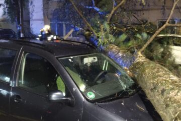 Mașini avariate de copaci în municipiul Suceava