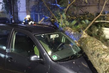 Mașini avariate de copaci în municipiul Suceava