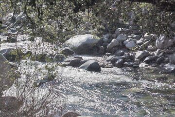 „Din Stulpicani” (I)