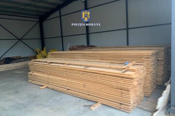 Material lemnos confiscat