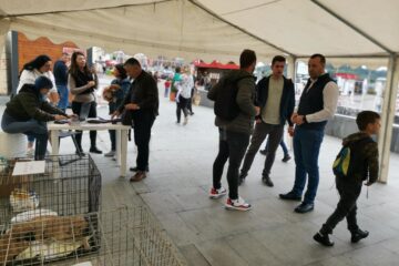 Targul de adoptii de la Iulius Mall