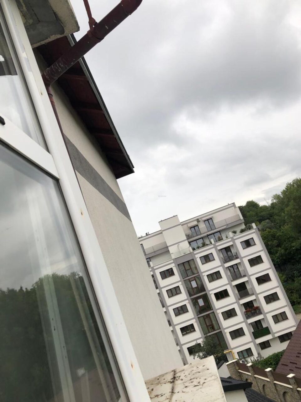 În peretele de sub acoperiș și-a făcut casă o colonie de lilieci