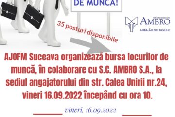 Bursă de locuri de muncă, cu 35 de joburi, la Ambro Suceava