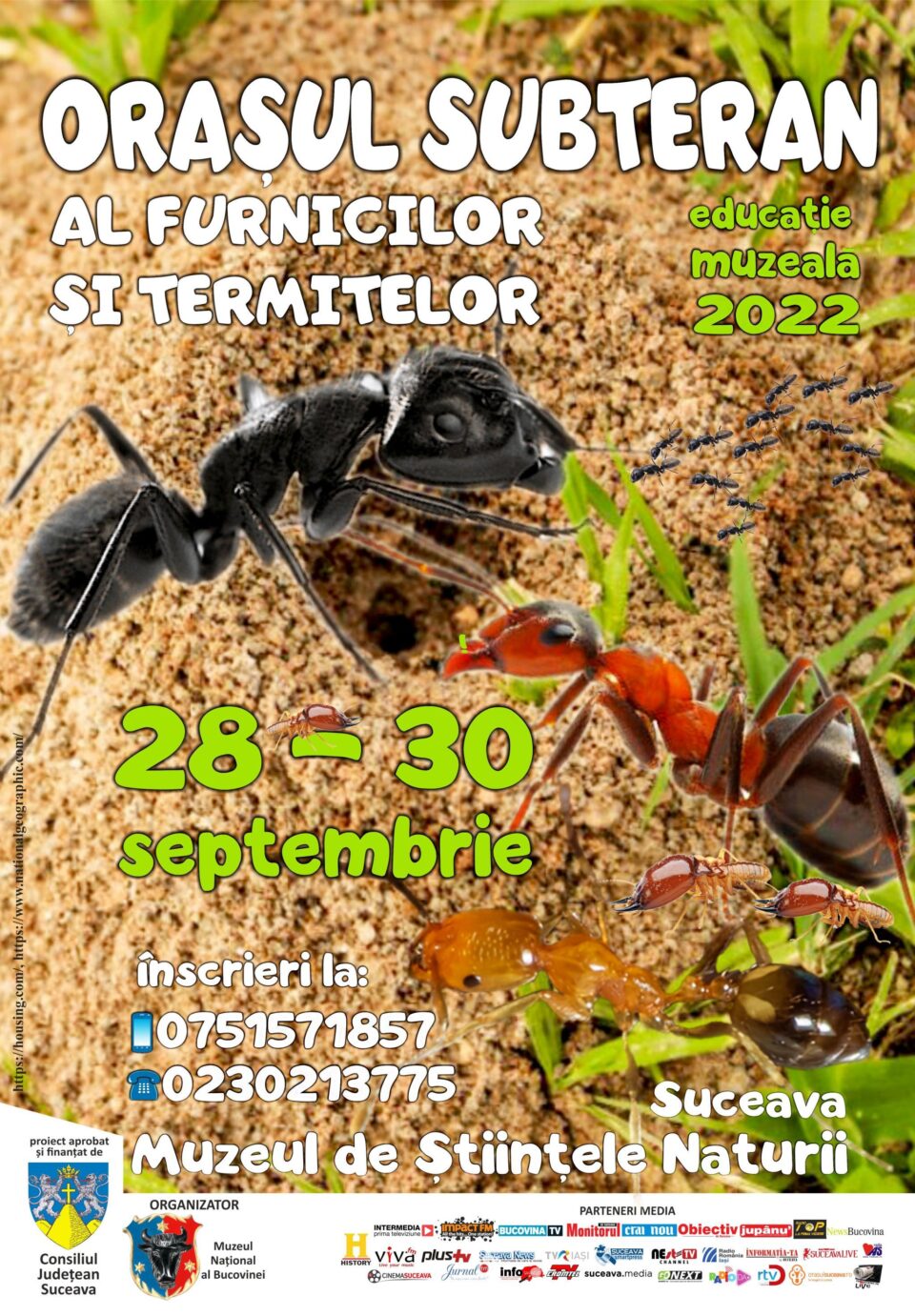 „Orașul subteran al furnicilor și termitelor”, la Muzeul de Științele Naturii Suceava