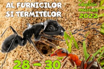 „Orașul subteran al furnicilor și termitelor”, la Muzeul de Științele Naturii Suceava