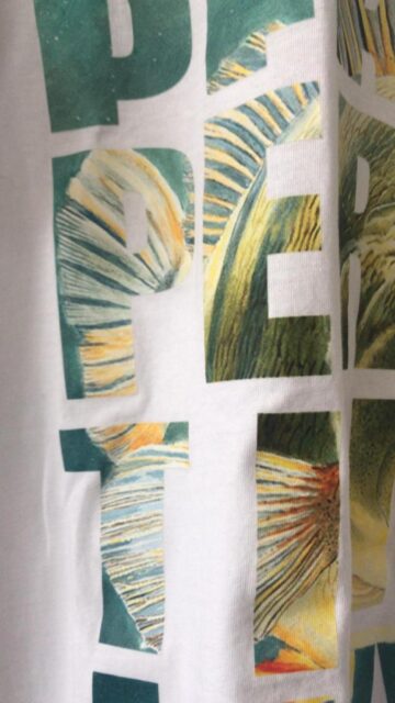 Serigrafando – servicii de personalizare profesionale prin serigrafie, broderie sau DTF