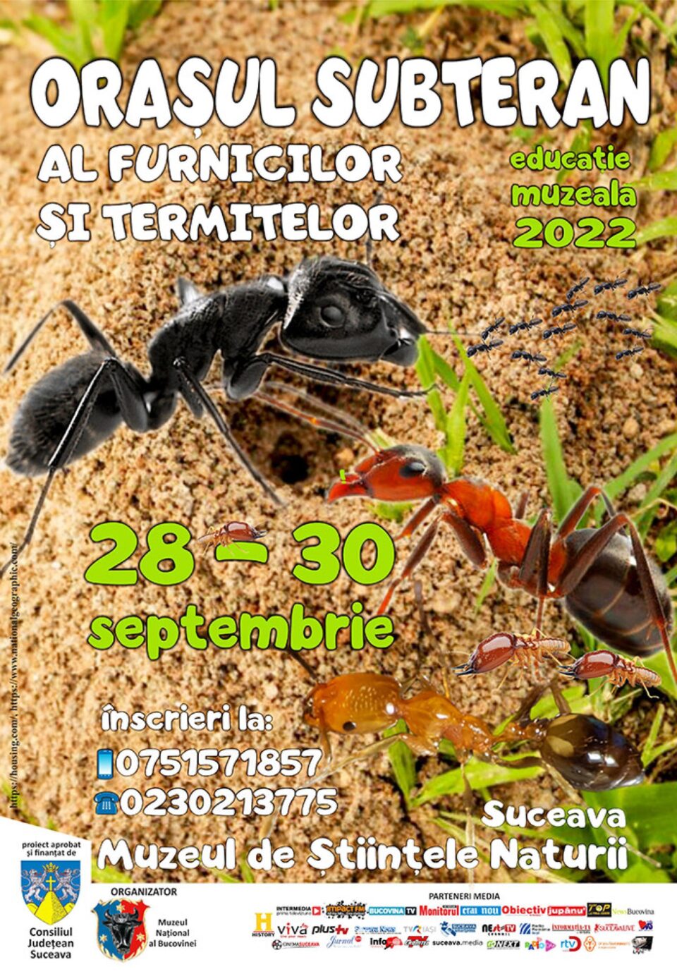 „Orașul subteran al furnicilor și termitelor”, la Muzeul de Științele Naturii Suceava