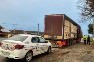 Autotrenul cu cherestea oprit la Vadu Moldovei. Foto Daniel Bodnar