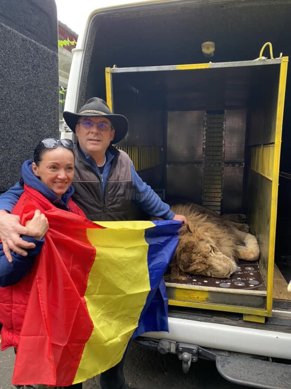 Leii Simba ;i Mir, refugiați din Ucraina la Grădina Zoologică Rădăuți, au plecat în Africa