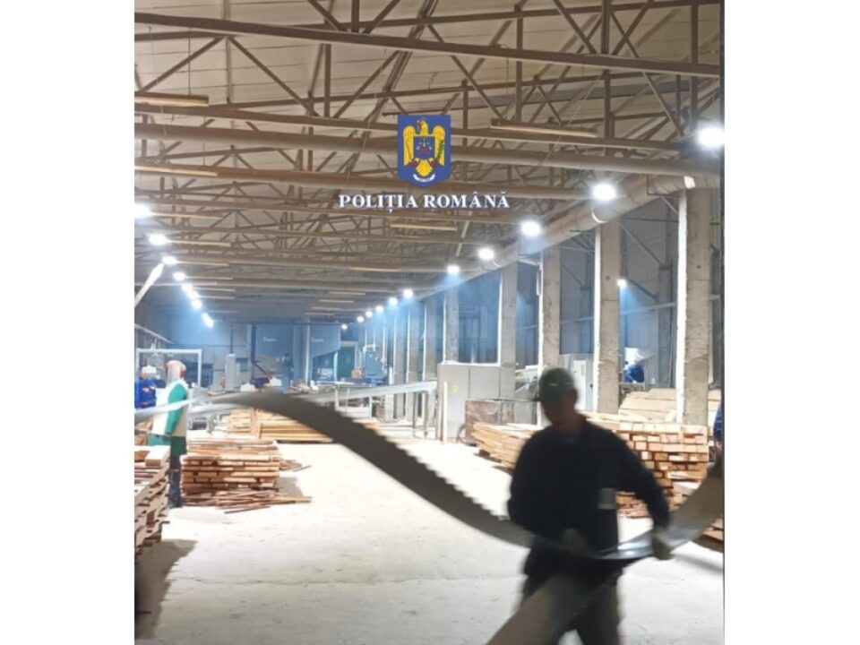 hala cu material lemnos