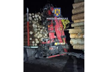 camion cu lemne