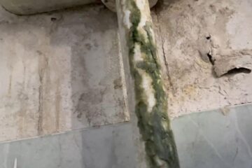 Toalete respingătoare filmate de un elev la Colegiul Economic „Dimitrie Cantemir”