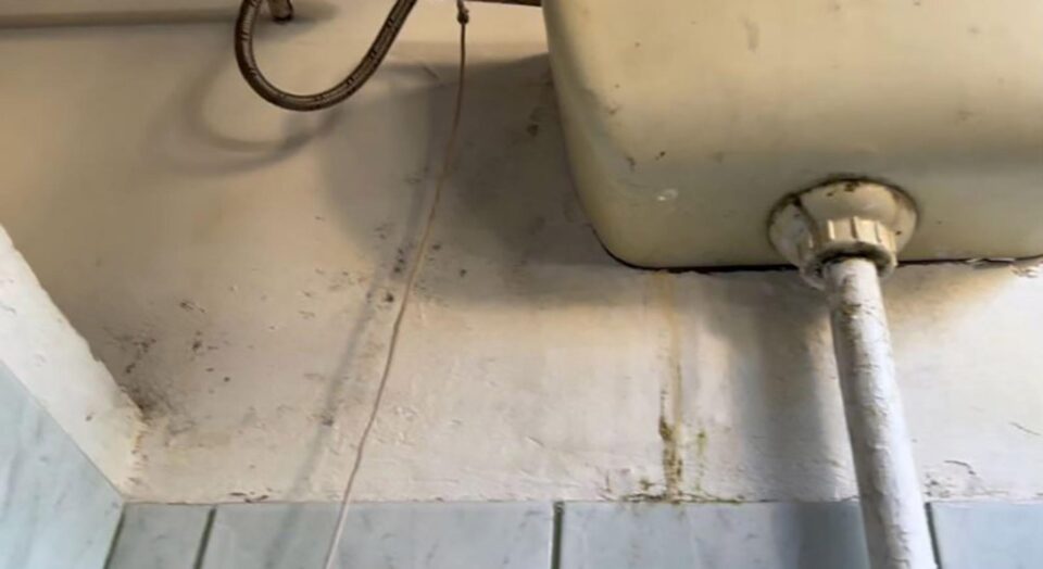 Toalete respingătoare filmate de un elev la Colegiul Economic „Dimitrie Cantemir”
