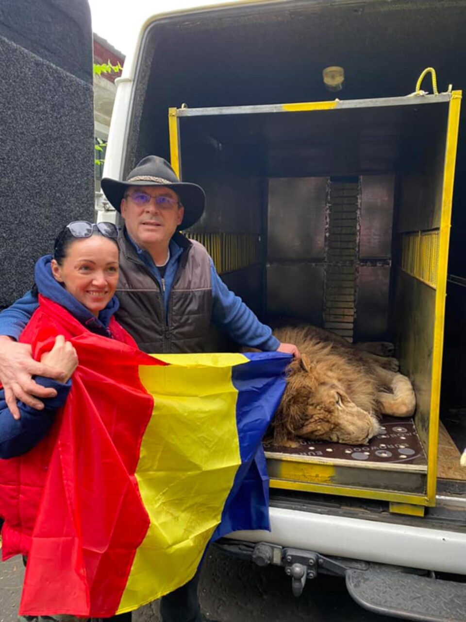 Leii Simba și Mir, refugiați din Ucraina la Grădina Zoologică Rădăuți, au plecat în Africa
