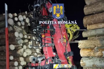 Camion cu lemne