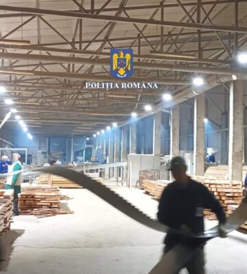 Hala cu material lemnos