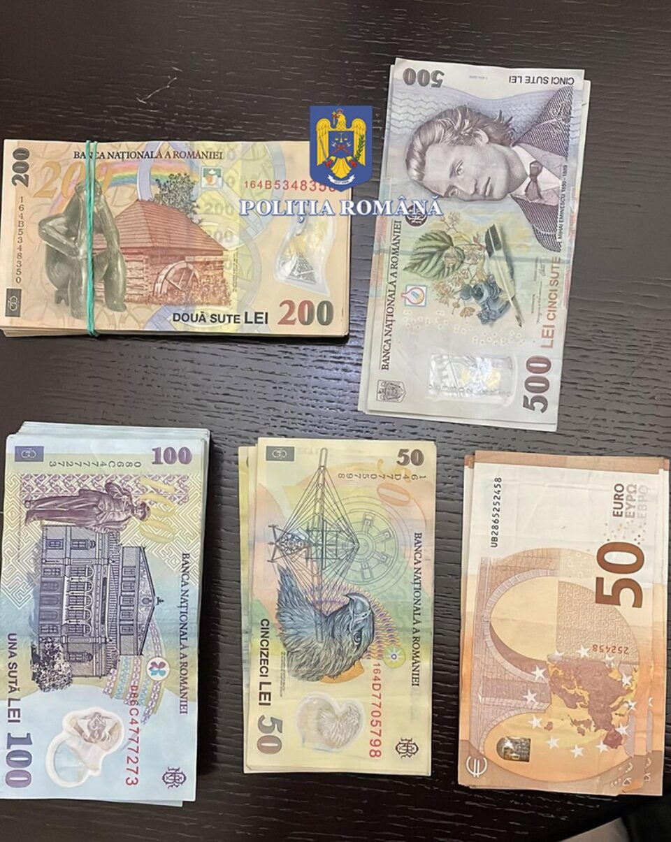 Caracatița traficanților de material lemnos din județ, deranjată de anchetatori de la București