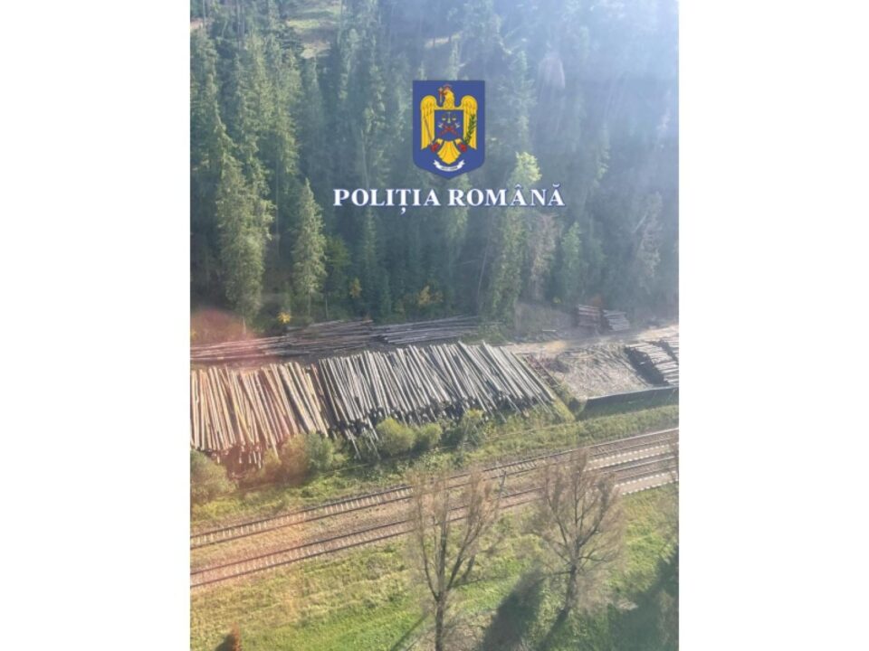 Imagini din elicopter cu depozite de lemn vizate de ancheta
