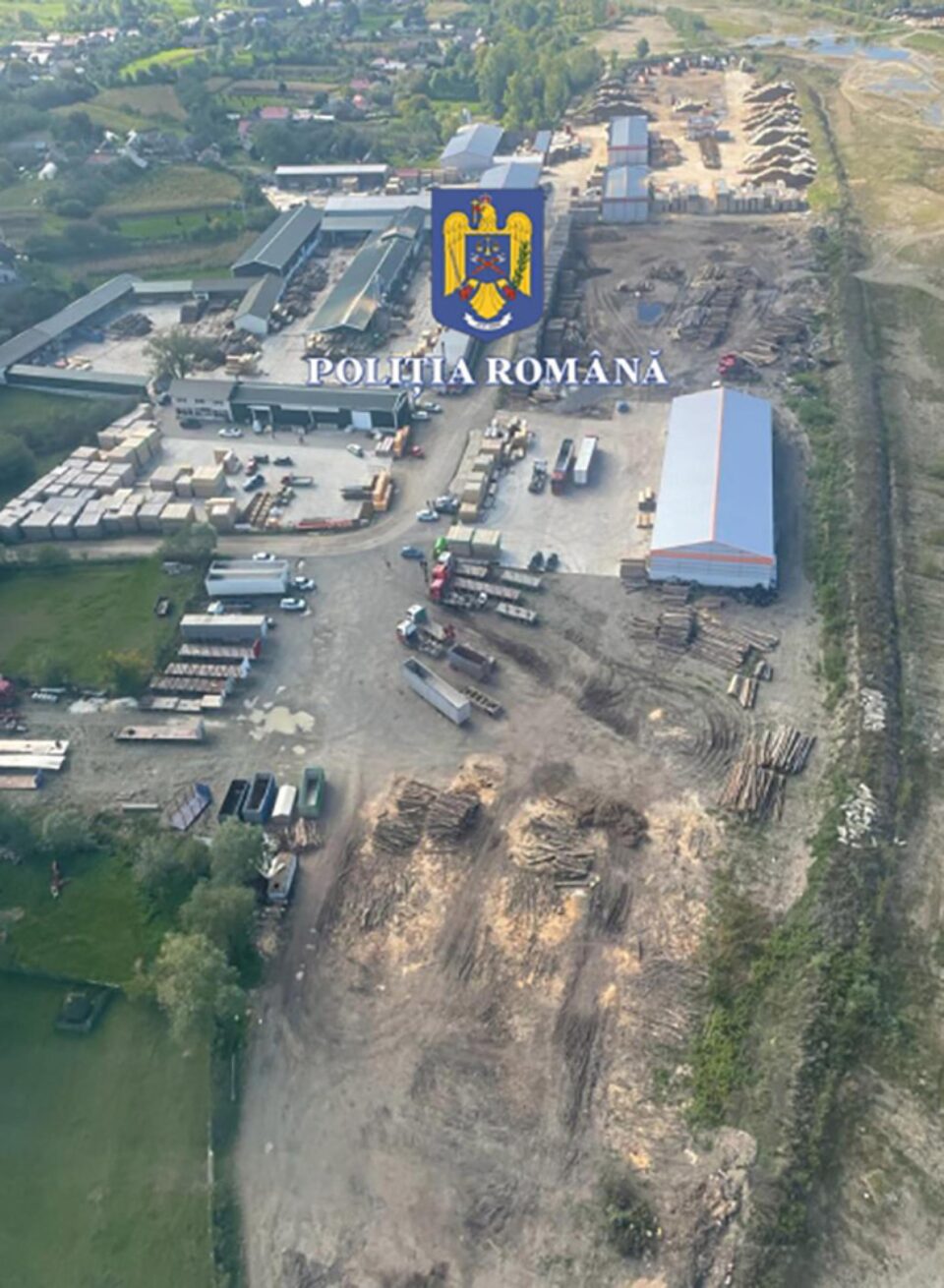 Peste 21.000 mc de material lemnos, puși sub sechestru în urma descinderilor din dosarul ”mafia lemnului”