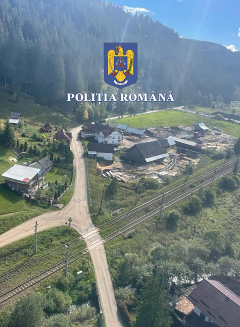 Peste 21.000 mc de material lemnos, puși sub sechestru în urma descinderilor din dosarul ”mafia lemnului”