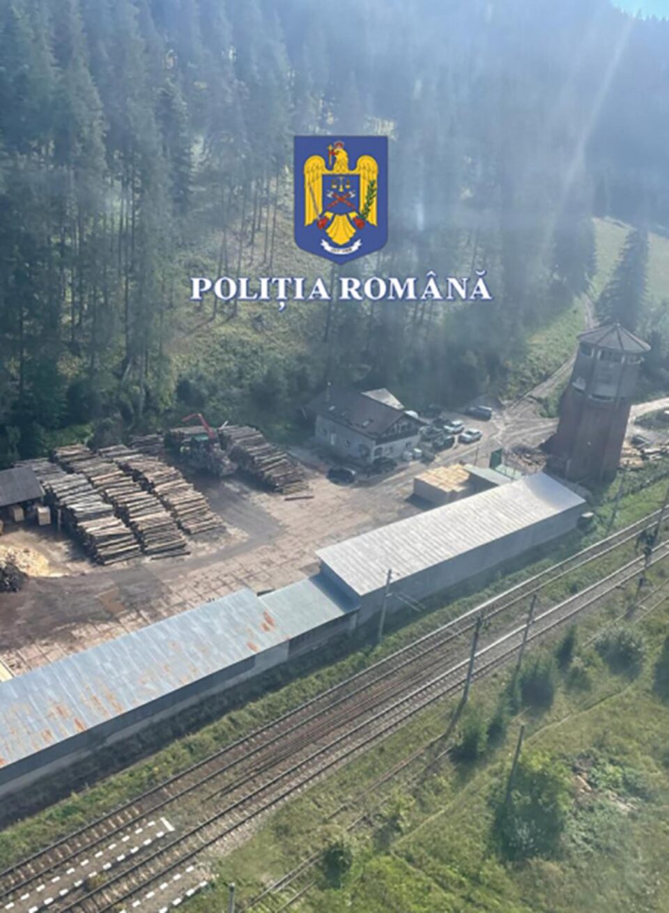 Peste 21.000 mc de material lemnos, puși sub sechestru în urma descinderilor din dosarul ”mafia lemnului”