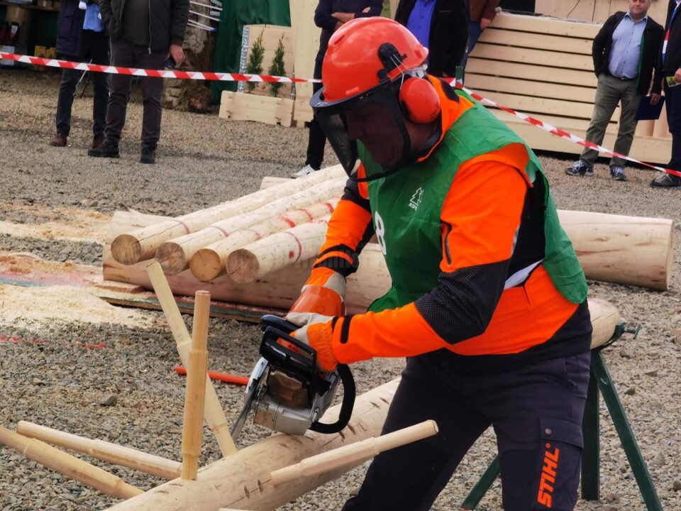 Castigatorul Concursului Național al Fasonatorilor Mecanici organizat de Ziua Forestierului 2022