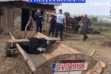 Intervenția poliției la locuința lui Nicu Stan, după cazul de maltratare a calului, în 2020
