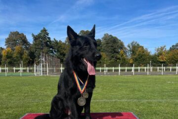 Nero, câinele polițist de la Poliția de Frontieră Siret, locul întâi la proba ”Detectare explozivi”