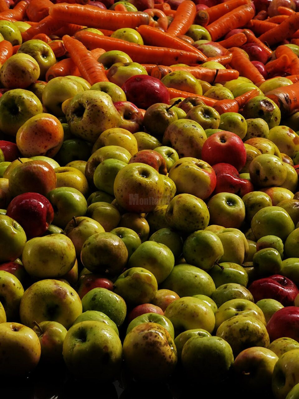 Sucuri naturale delicioase, produse din fructele și legumele clienților, la Grande Bucovina