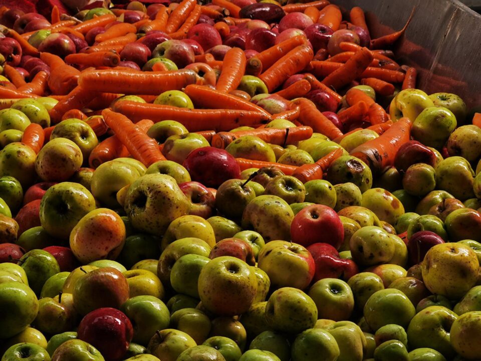 Sucurile naturale se obțin din fructele care se găsesc din belșug în această perioadă a anului – în special mere și pere, la care se pot adăuga morcovi, sfeclă, ori alte legume