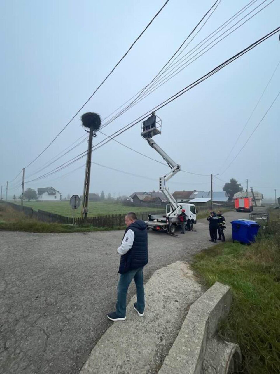 Operațiunea „Salvarea berzei”, desfășurată la Poiana Stampei