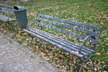 Toate băncile din curtea Spitalului Vechi sunt murdărite de ciori